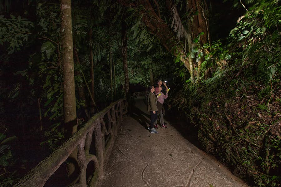 Hanging Bridges Twilight Walk