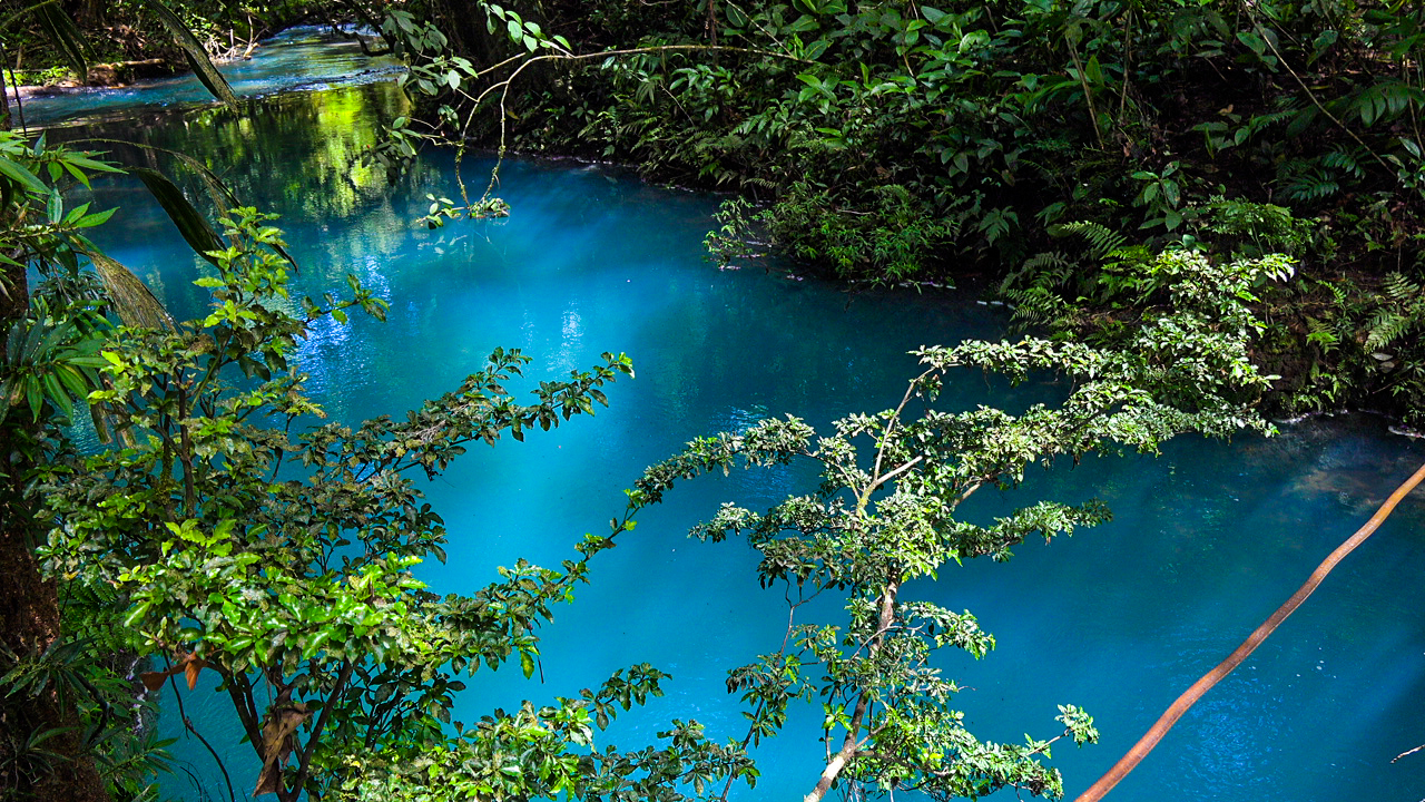 Tenorio Volcano National Park & Rio Celeste Combo
